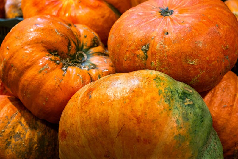 Two Yellow Gourds stock photo. Image of ornamental, autumn 8033944