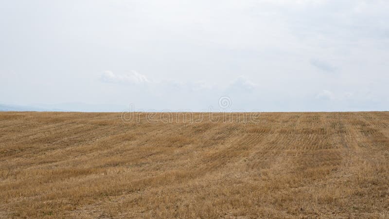 Pole sklizené plodiny a horizont oblohy. Zemědělská pole Slovenska