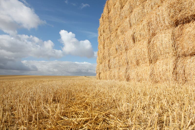 Harvested Field with Haystack & Stubble royalty free stock images