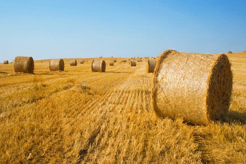 Straw Bales stock image. Image of tied, stack, feed, bundle - 139263