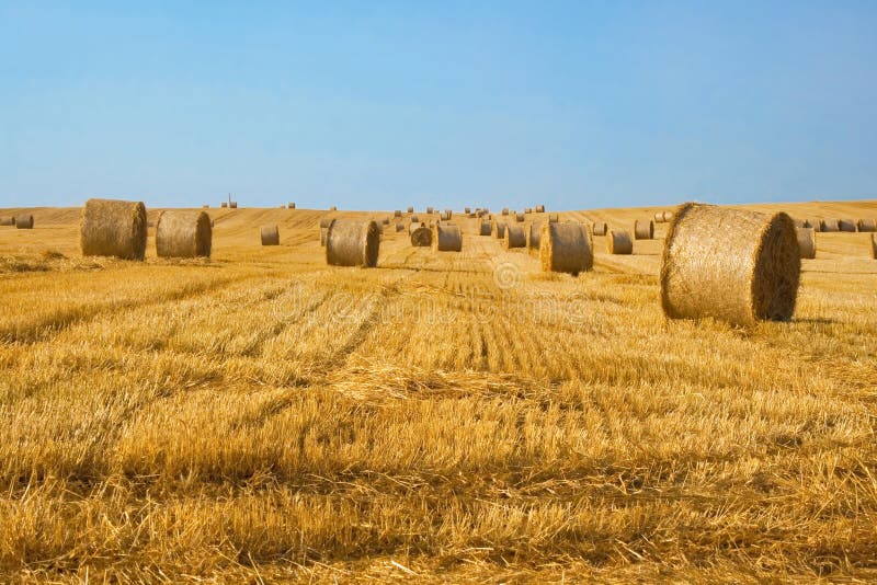 Straw Bales stock image. Image of tied, stack, feed, bundle - 139263