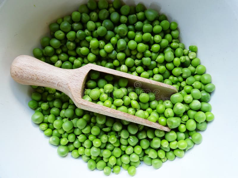 Harvested Fresh Green Peas for Cooking Stock Image Image of healthy