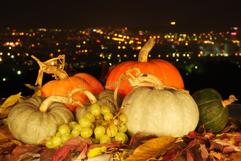Harvested Fresh Vegetables and Fruits at Night Stock Image Image of