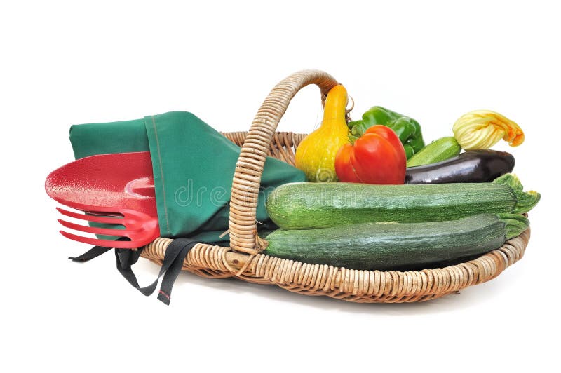 Harvested summer vegetables