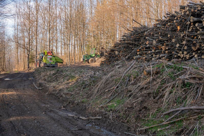 Harvested timber and harvesters in Polana mountains near Hrochot village