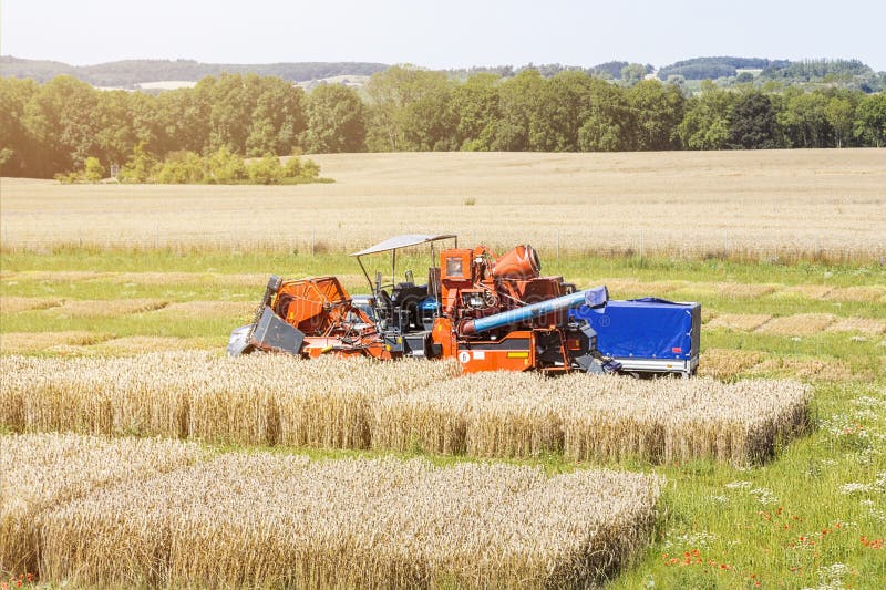 Harvester on a agricultural trial field