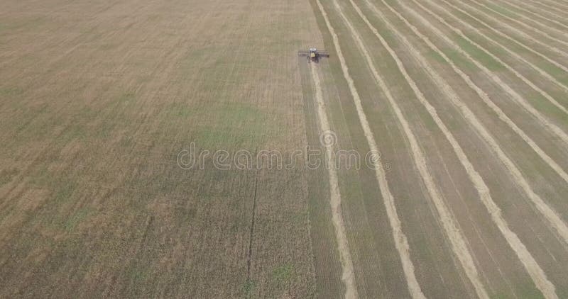 Harvester removes wheat field view from a height