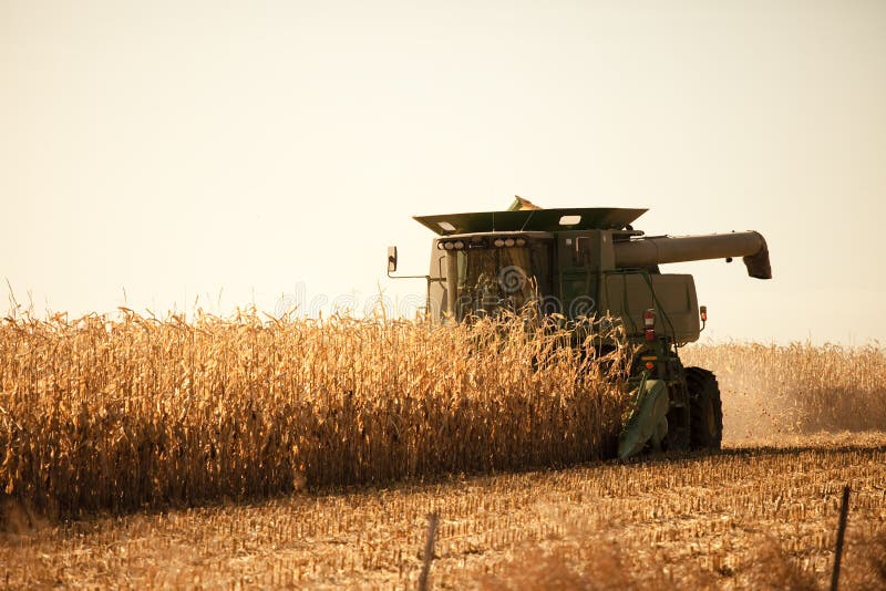 Harvesting royalty free stock photography Harvesting royalty free stock photography