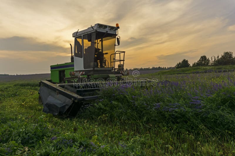 Mechanical Harvesting Of Livestock Feed Stock Photo Image Of Field Herbs Mechanical Harvesting Of Livestock Feed Stock Photo Image Of Field Herbs