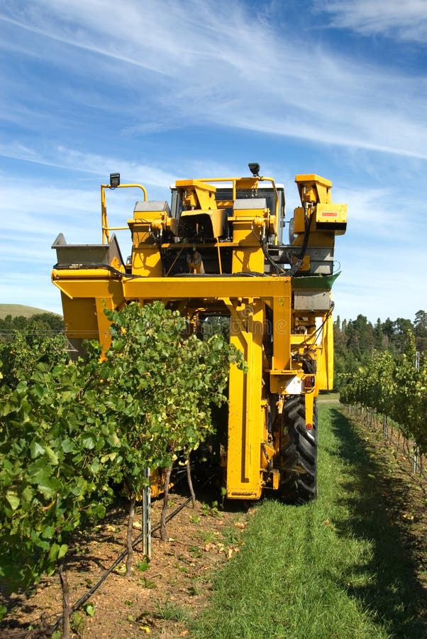 Grape Harvester stock image. Image of highlands, agriculture 8864411