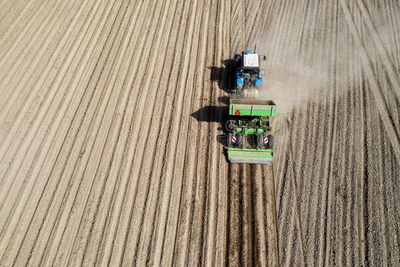 Harvesting potatoes in the fields of a farmer for food. Aerial view royalty free stock images