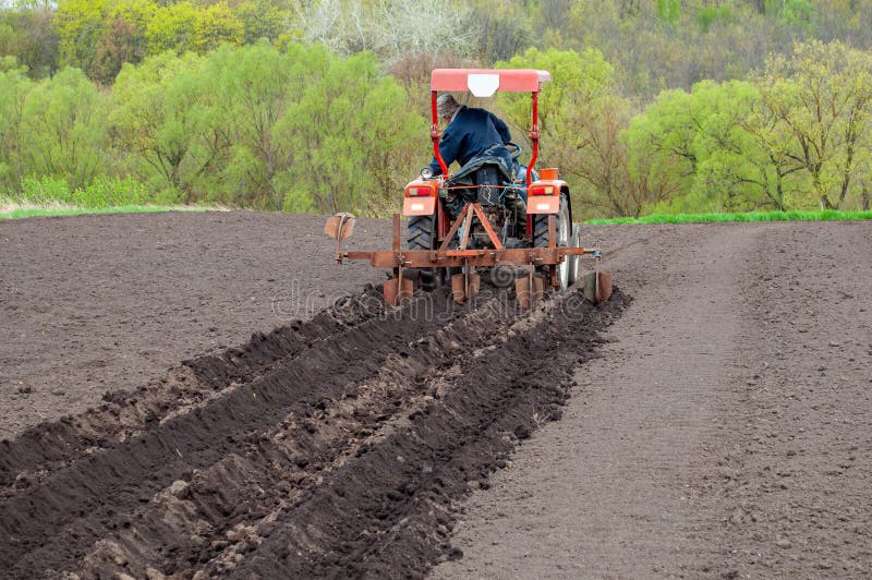 Harvesting Potatoes with a Tractor. Agricultural Machinery Stock Photo Image of growth, soil