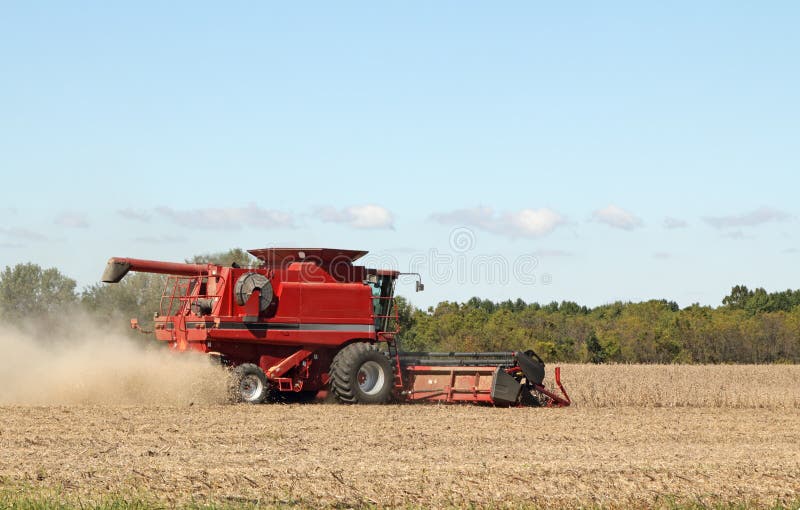 Harvesting Soybeans