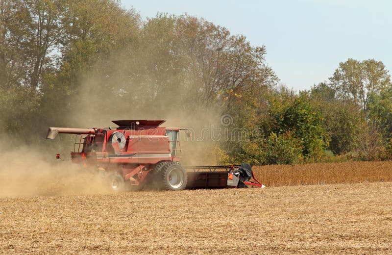 Harvesting Soybeans