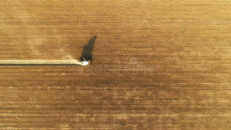 Harvesting of wheat in summer. Green combine harvester working in the field. Agricultural machine collecting golden ripe wheat on royalty free stock photos Harvesting of wheat in summer. Green combine harvester working in the field. Agricultural machine collecting golden ripe wheat on royalty free stock photos
