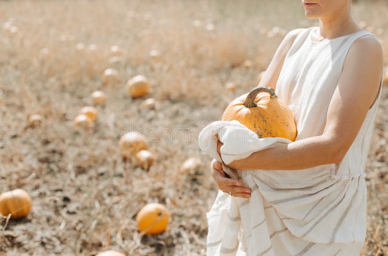 harvesting yellow pumpkins on a plantation woman in the countryside, agriculture, farmland, gourd, seed, organic, soil, season, natural, holiday, october, decoration, garden, healthy, vegetarian, outdoor, field, november, color, fruit, growth, art, festival, graphic, thanksgiving, background, autumn, crop, food, rural, halloween, squash, orange, vegetable, industry, grain. harvesting yellow pumpkins on a plantation woman in the countryside, agriculture, farmland, gourd, seed, organic, soil, season, natural, holiday, october, decoration, garden, healthy, vegetarian, outdoor, field, november, color, fruit, growth, art, festival, graphic, thanksgiving, background, autumn, crop, food, rural, halloween, squash, orange, vegetable, industry, grain