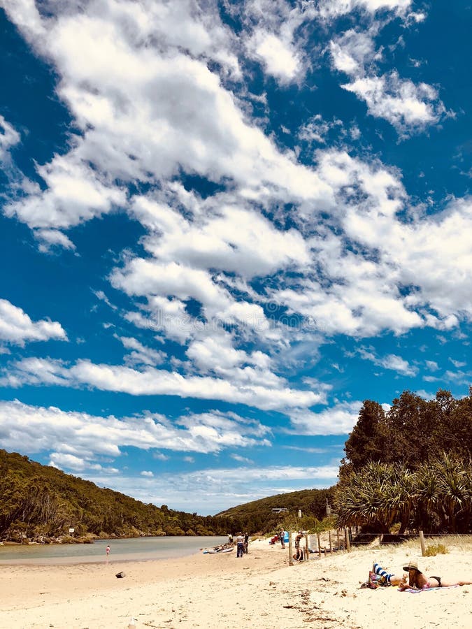 Hat Head Beach editorial image. Image of beach, head 134655515