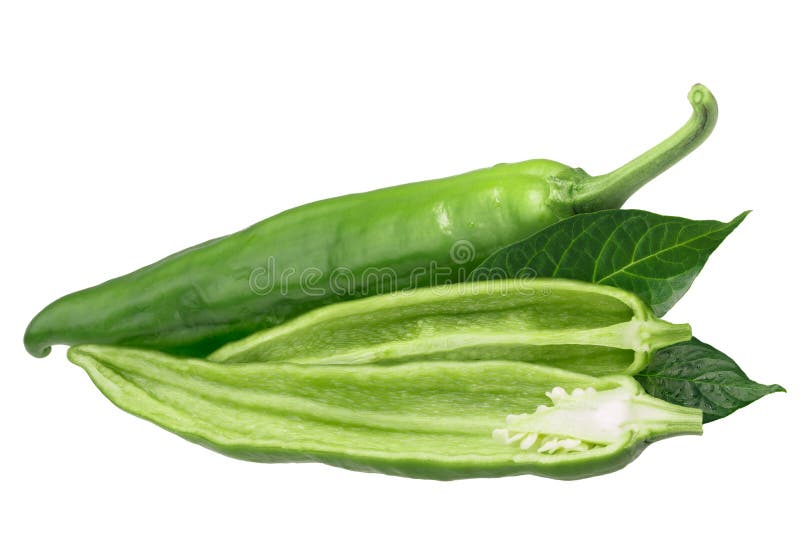 Hatch Green Chiles II stock photo. Image of mexico, pepper 21026202