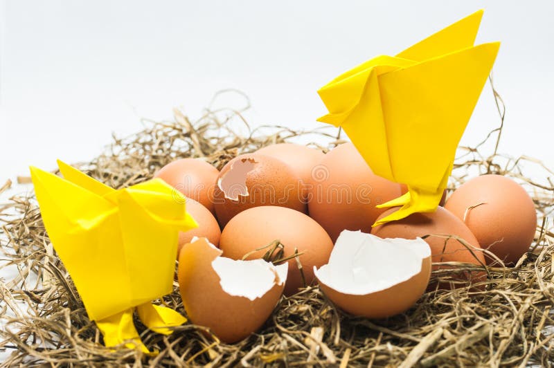 Hatched egg stock photo. Image of incubator, yellow, little 34900510