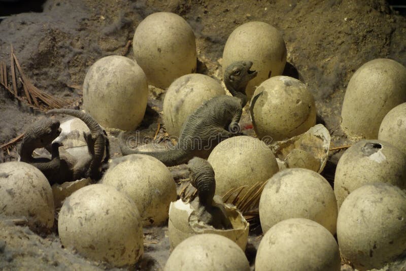 Dinosaur Hatching from an Egg Stock Photo Image of alien, born 12967280