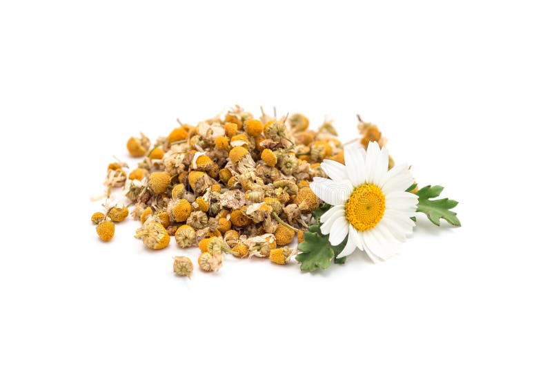 Haufen des trockenen Kräuterkamillenteen mit den frischen Kamillenblumen lokalisiert auf Weiß lizenzfreie stockfotografie Haufen des trockenen Kräuterkamillenteen mit den frischen Kamillenblumen lokalisiert auf Weiß lizenzfreie stockfotografie
