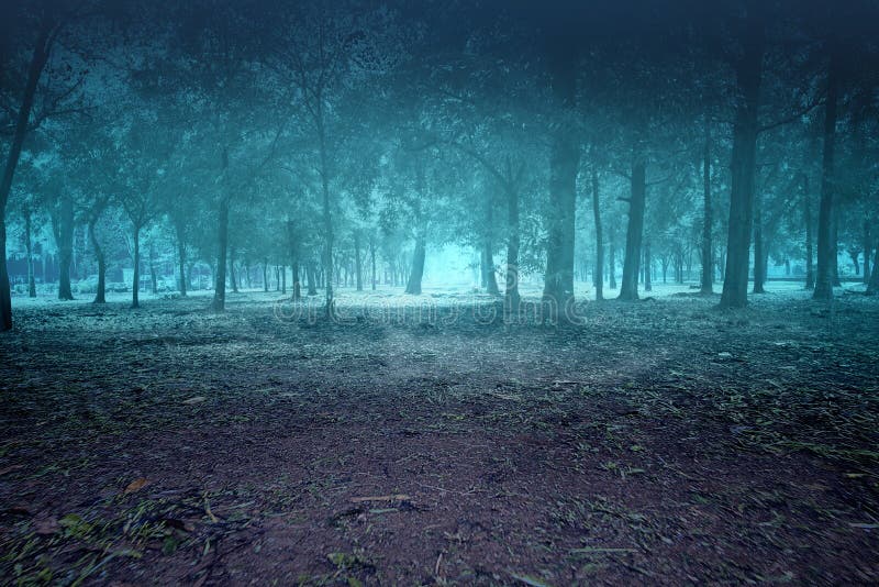 Haunted Forest with Smoke and Fog with Night Scene Background Stock Photo -  Image of scare, night: 187874358