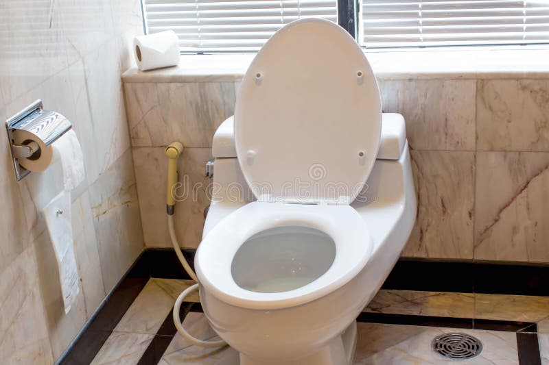 Hauptspültoilette (Toilettenschüssel, -papier) stockfotografie Hauptspültoilette (Toilettenschüssel, -papier) stockfotografie