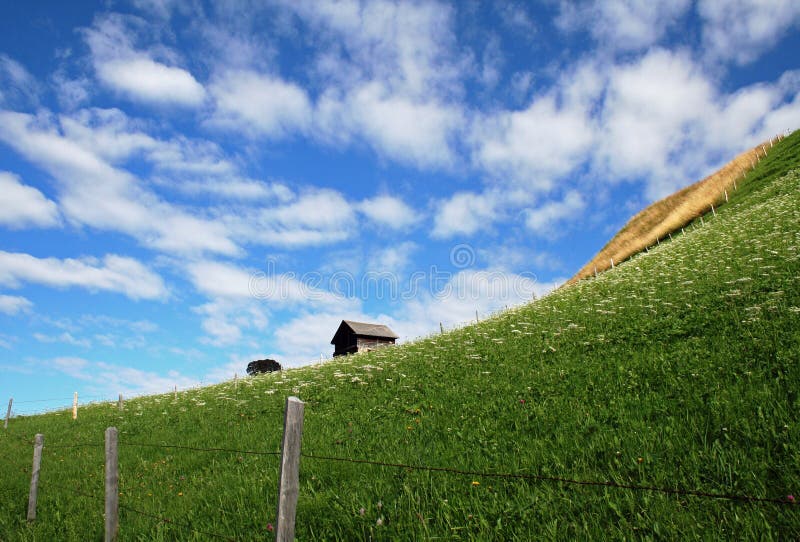 Haus auf einem Feld stockfotos
