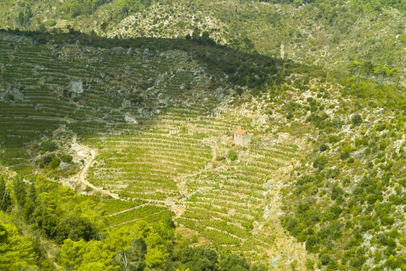 Kroatien Dalmatinisches Haus 1 Stock-Fotos - Laden Sie 38 Royalty-Free