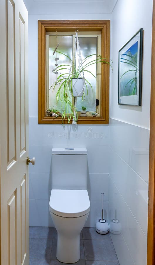 Haus Pflanzen und Muscheln Dekoration ein kleines Bad Fenster in weiß gefliesten WC. stockbild
