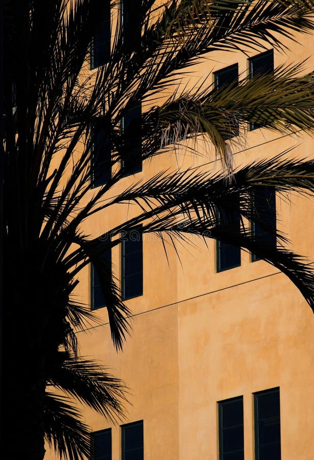 Haus und eine Palme lizenzfreie stockbilder Haus und eine Palme lizenzfreie stockbilder