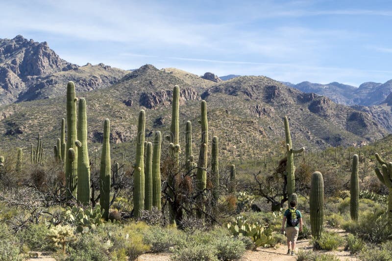 Hausse dans Tucson Arizona images stock Hausse dans Tucson Arizona images stock