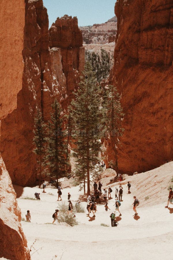 Hausse par beau Bryce Canyon National Park pendant l'hiver image libre de droits Hausse par beau Bryce Canyon National Park pendant l'hiver image libre de droits