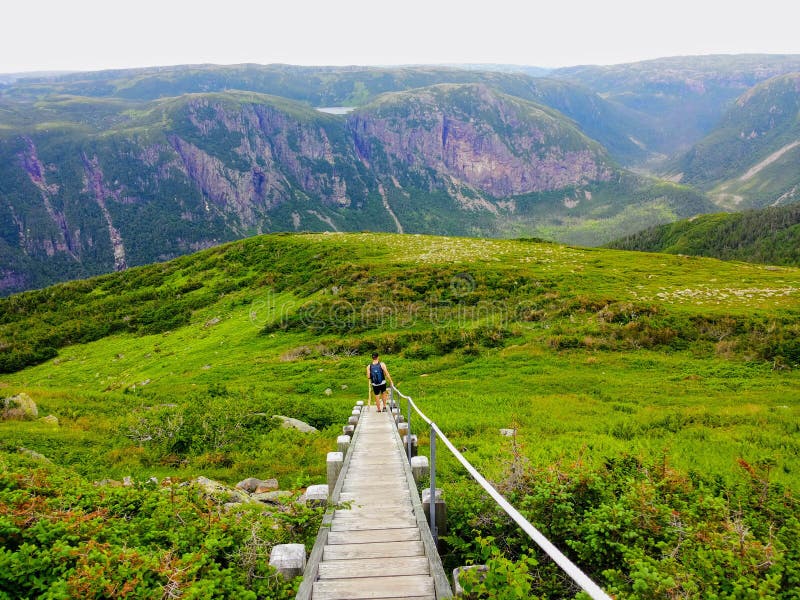 Hausse à beau Gros Morne National Park placé sur Gros Morne Mou images libres de droits Hausse à beau Gros Morne National Park placé sur Gros Morne Mou images libres de droits