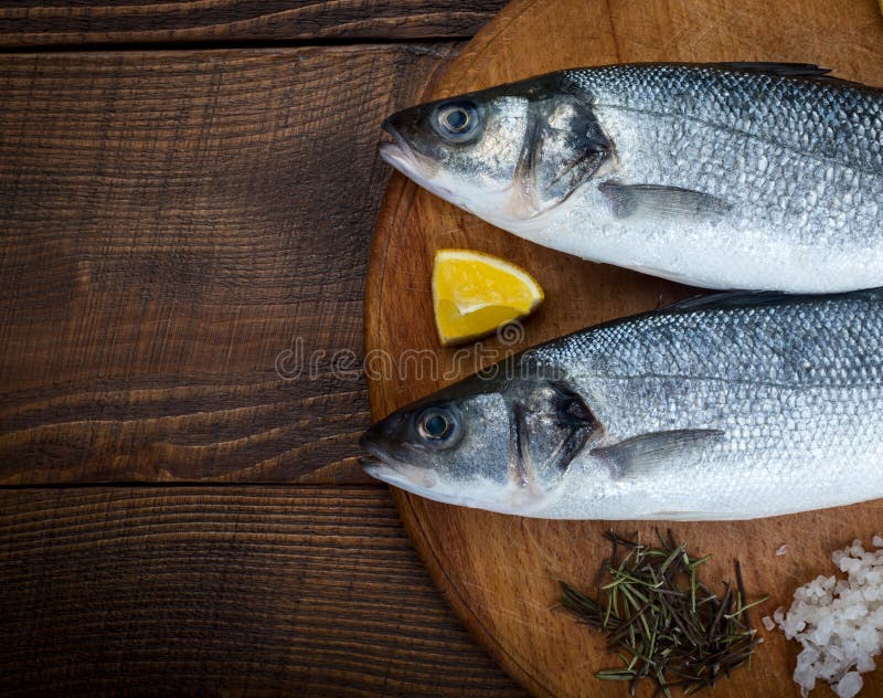 Hav Bass Fish royaltyfri foto