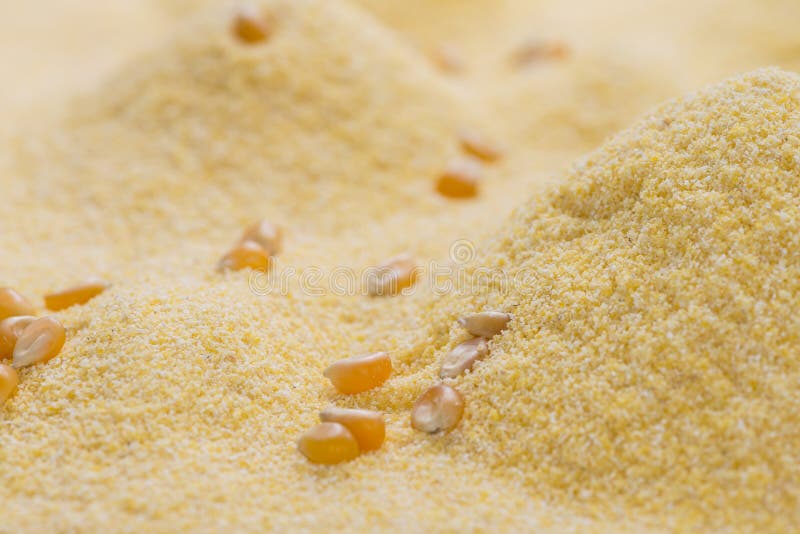 Cornmeal Background as high res detailed close-up shot. Cornmeal Background as high res detailed close-up shot