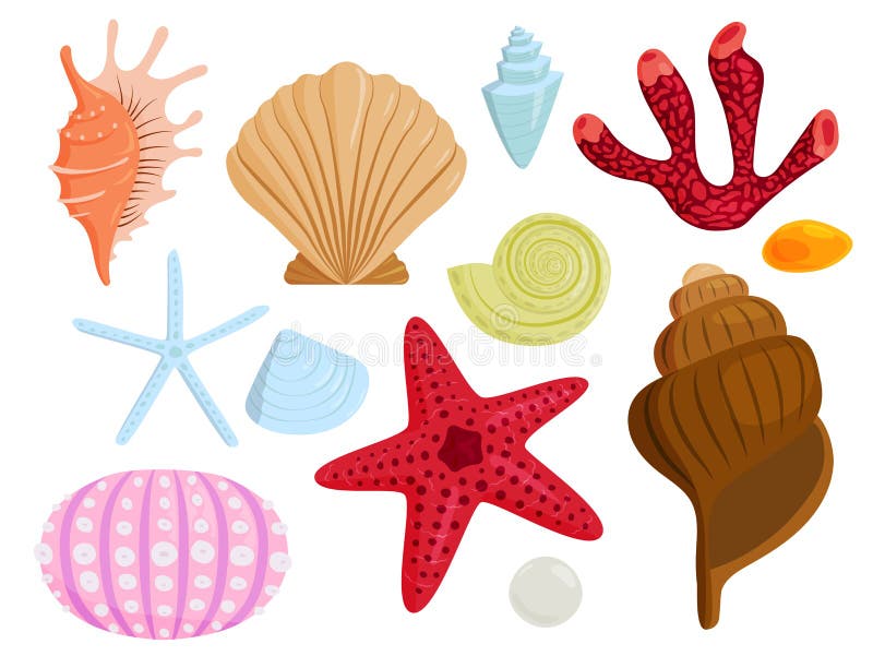 Havet beskjuter den marin- tecknade filmen mussla-SHELL och illustrationen för vektor för havsjöstjärnacoralline vektor illustrationer Havet beskjuter den marin- tecknade filmen mussla-SHELL och illustrationen för vektor för havsjöstjärnacoralline vektor illustrationer