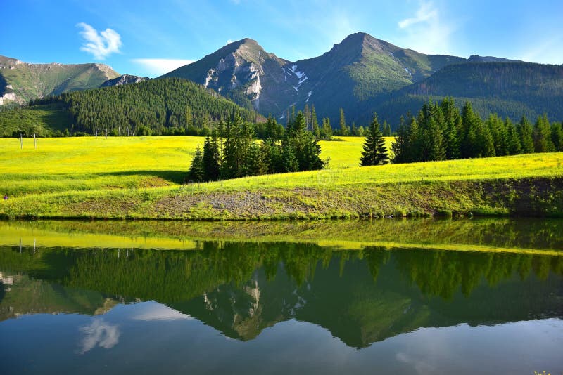 Havran and Zdiarska vidla, the two highest mountains in the Belianske Tatry. A pond and a flowery meadow in front. Slovakia