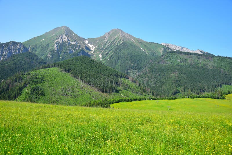 Havran and Zdiarska vidla, the two highest mountains in the Belianske Tatry. Slovakia