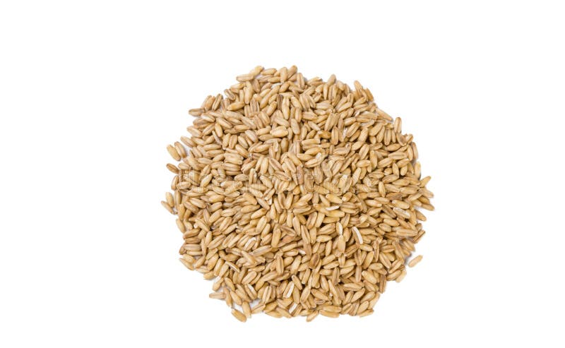 Havren ?verhopar isolerat p? vit bakgrund n?ring bio Naturlig matingrediens arkivbild Havren ?verhopar isolerat p? vit bakgrund n?ring bio Naturlig matingrediens arkivbild