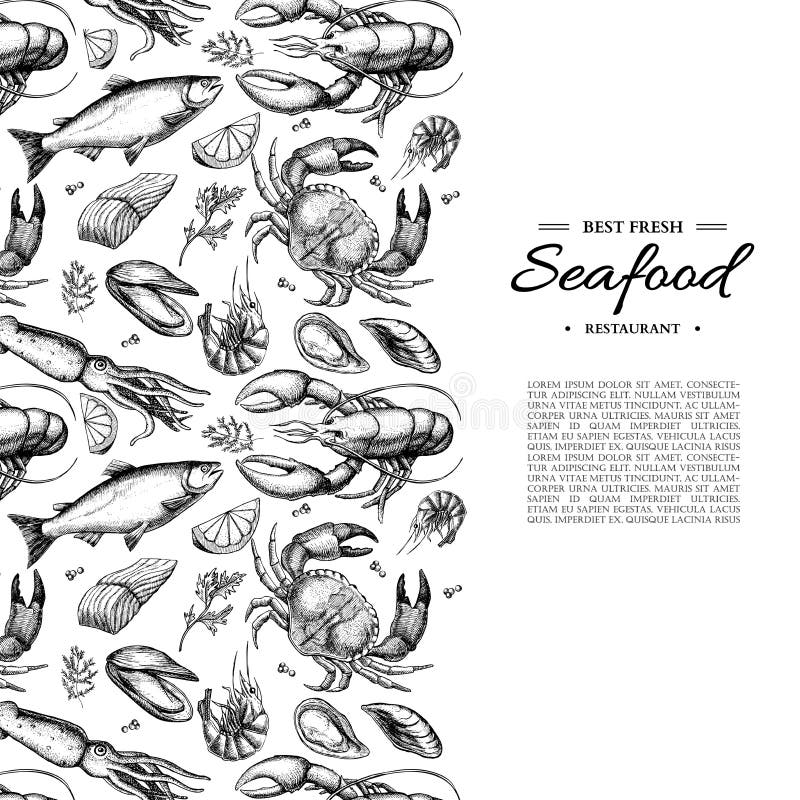 Havs- hand dragen vektor inramad illustration Krabba, hummer, räka, ostron, mussla, kaviar och tioarmad bläckfisk