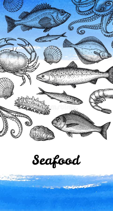 Havs- menydesignmall royaltyfri illustrationer Havs- menydesignmall royaltyfri illustrationer