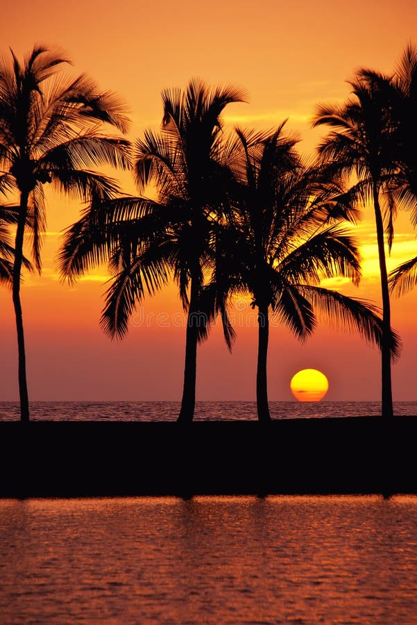 Hawaiansk solnedgång