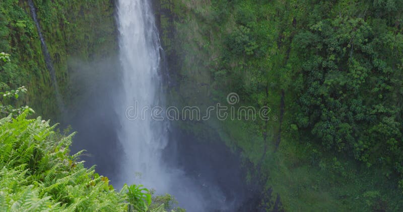 Hawaii Akaka Falls - Hawaiian waterfall on Big Island, Hawaii, USA. Beautiful pristine nature landscape scene showing