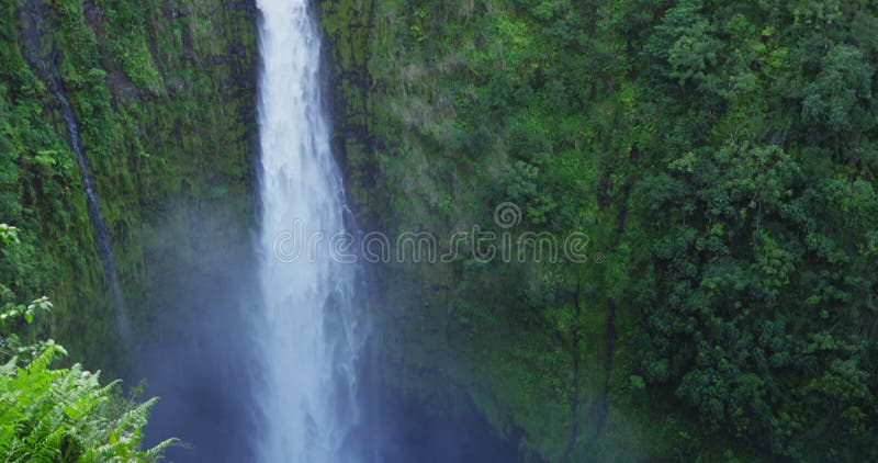 Hawaii Akaka Falls - Hawaiian waterfall on Big Island USA