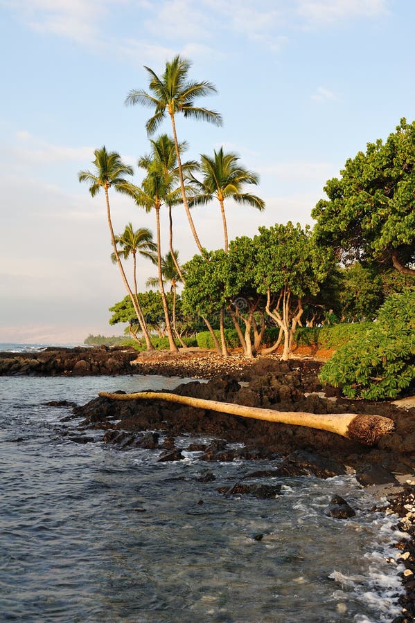 Hawaii Big Island Kona Coast early morning