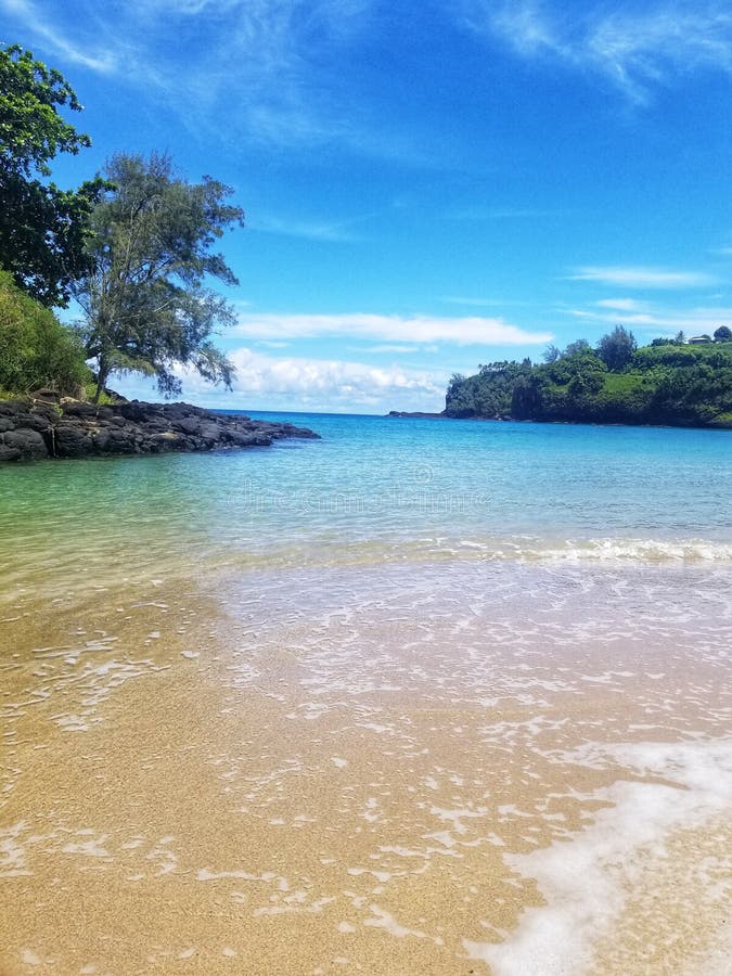 Hawaii Kauai Ocean Beach Sand Palm Tree Stock Image Image of sand