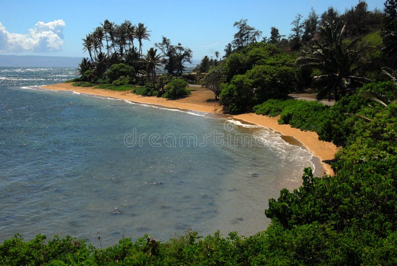 hawaii plażowi murphys Molokai fotografia stock hawaii plażowi murphys Molokai fotografia stock