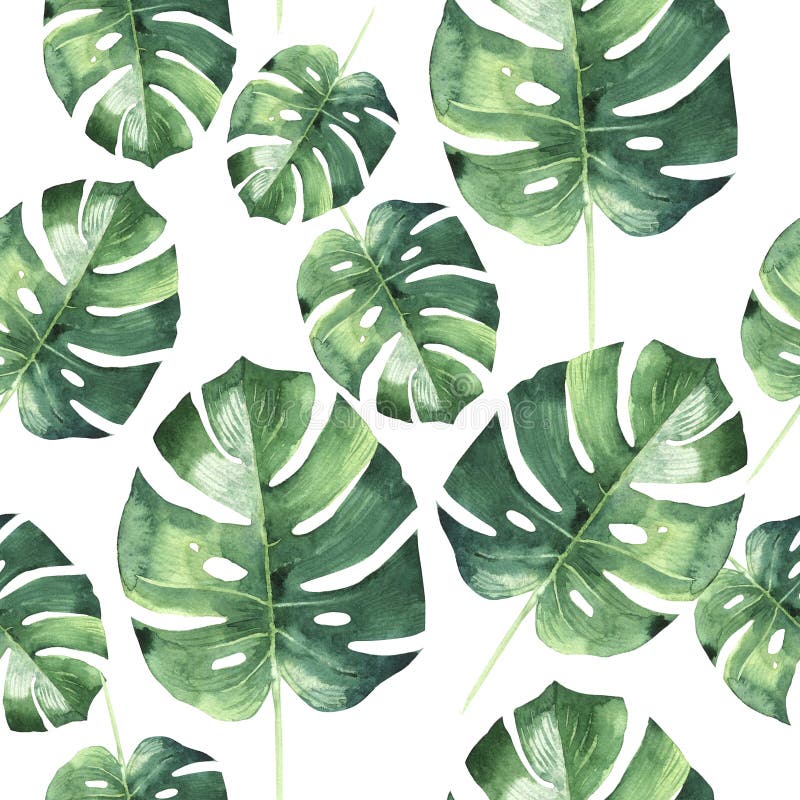 Hawaii tropical deja el modelo de la palmera en un estilo de la acuarela aislado ilustración del vector Hawaii tropical deja el modelo de la palmera en un estilo de la acuarela aislado ilustración del vector