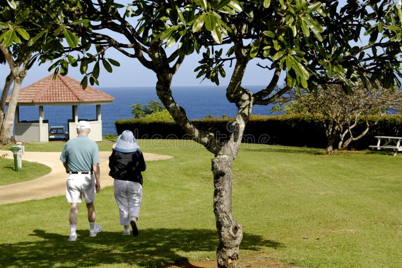 HAWAII_USA_vationers an theclif Erholungsort lizenzfreies stockfoto HAWAII_USA_vationers an theclif Erholungsort lizenzfreies stockfoto